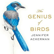 The Genius of Birds cover